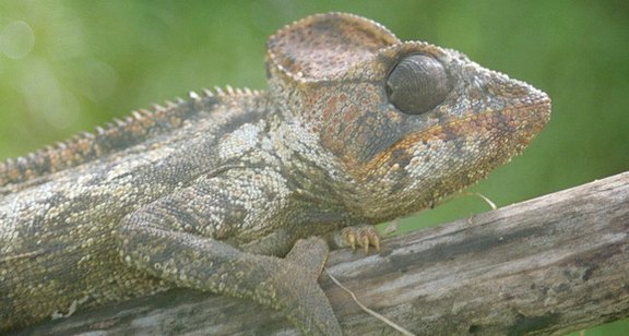 Neuigkeiten von der Kinderhilfe Madagaskar 